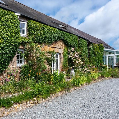 Nant Yr Odyn Country Hotel & Restaurant Ltd لانْجيفْني المظهر الخارجي الصورة
