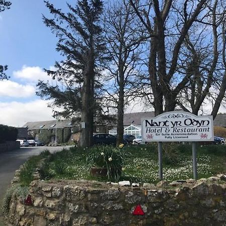 Nant Yr Odyn Country Hotel & Restaurant Ltd لانْجيفْني المظهر الخارجي الصورة