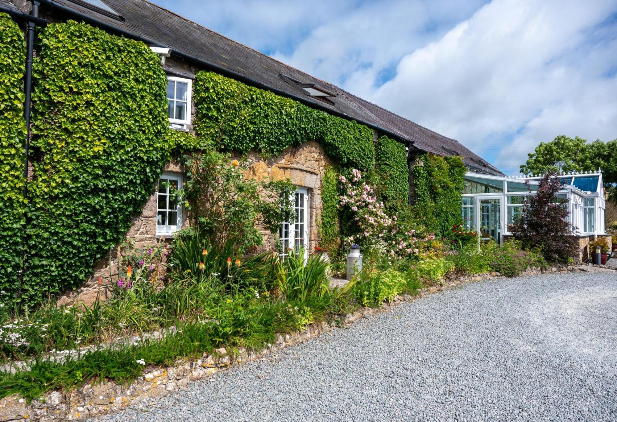 Nant Yr Odyn Country Hotel & Restaurant Ltd لانْجيفْني المظهر الخارجي الصورة