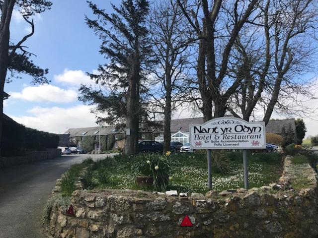 Nant Yr Odyn Country Hotel & Restaurant Ltd لانْجيفْني المظهر الخارجي الصورة